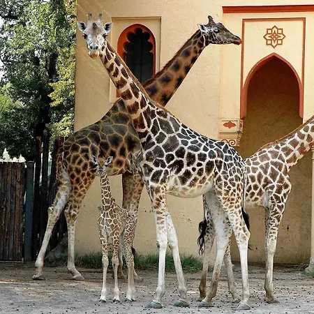 Sunny Parioli Modern Apartment *