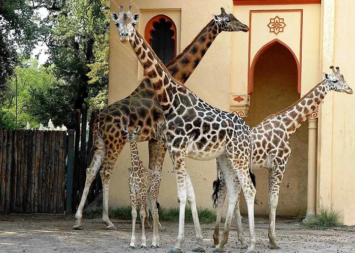 Sunny Parioli Modern Apartment *